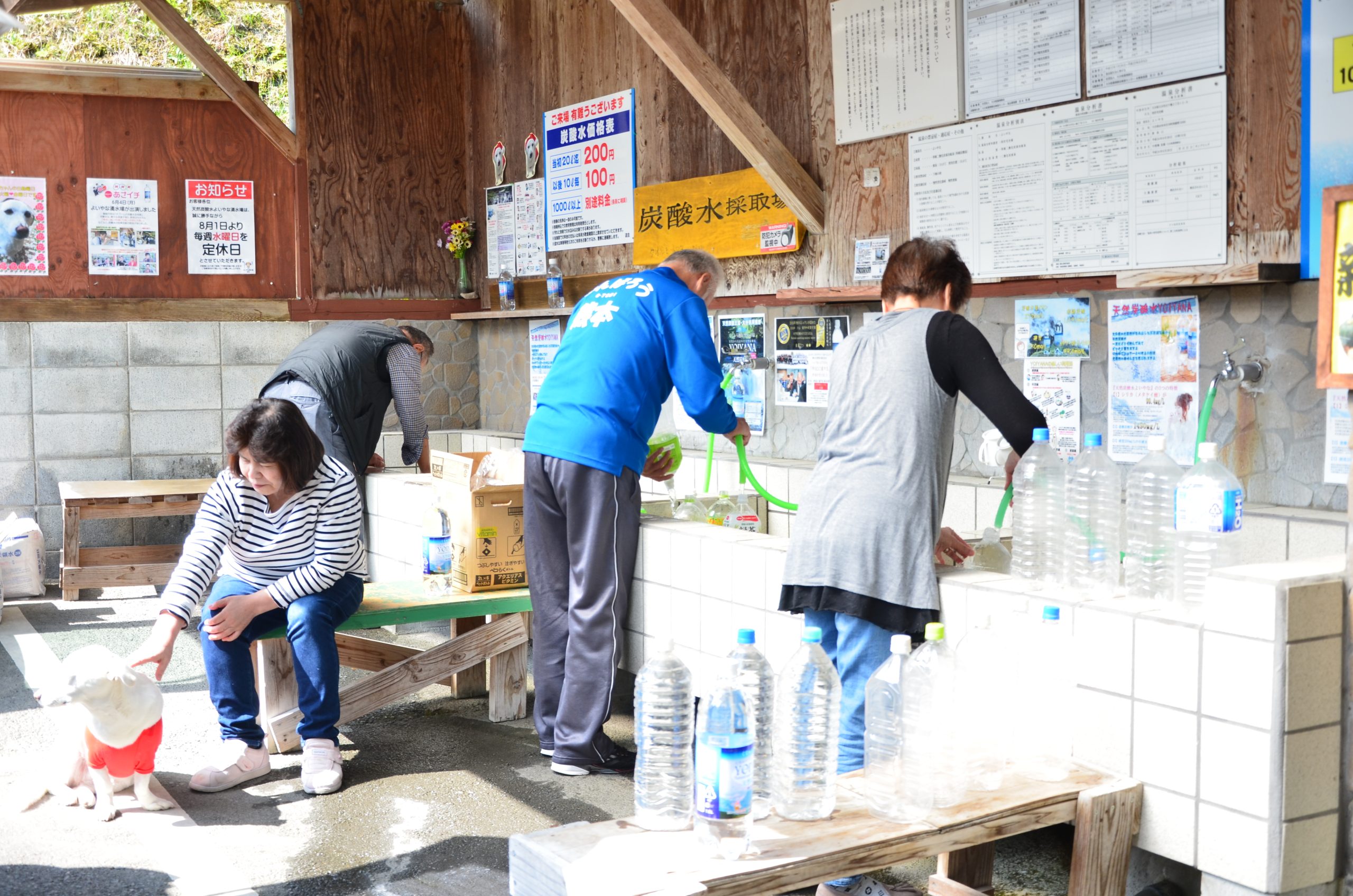 天然炭酸水よいやな湧水