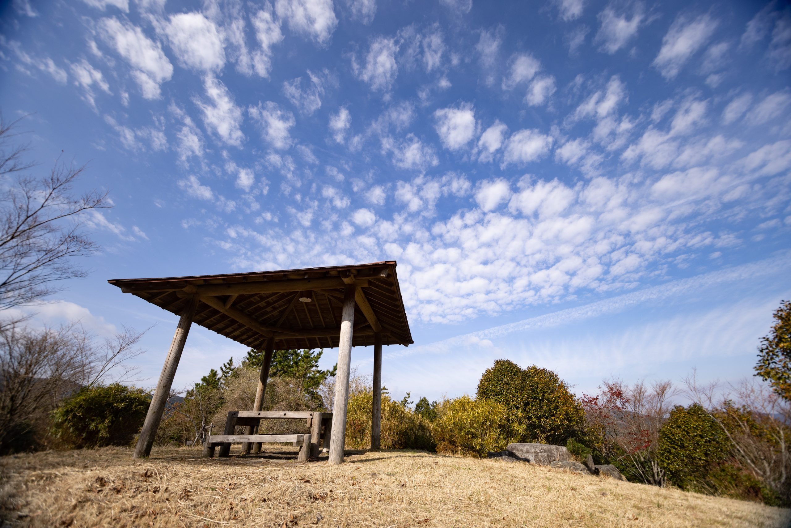 由布ゆのひら森林公園