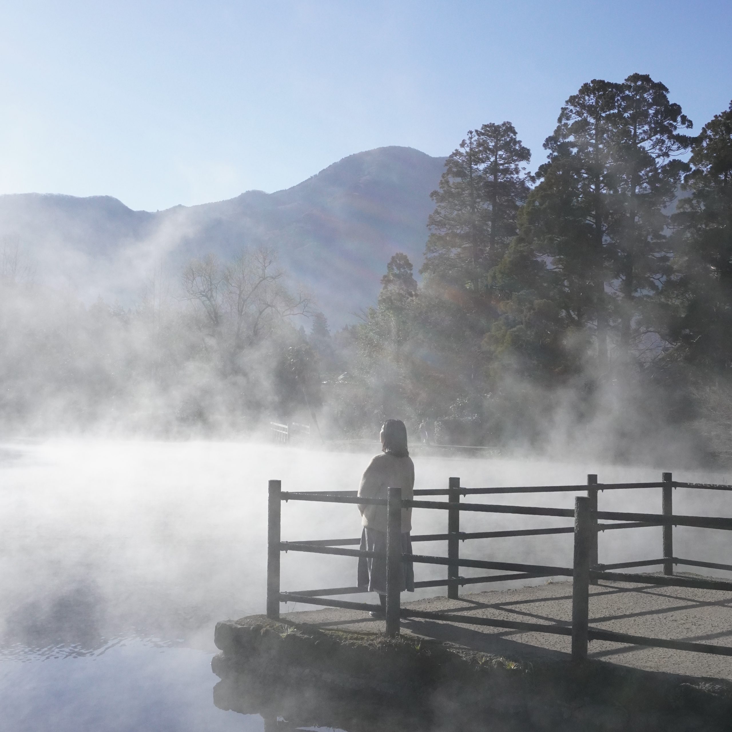 【金鱗湖】冬の風物詩！朝靄が織りなす幻想的な風景