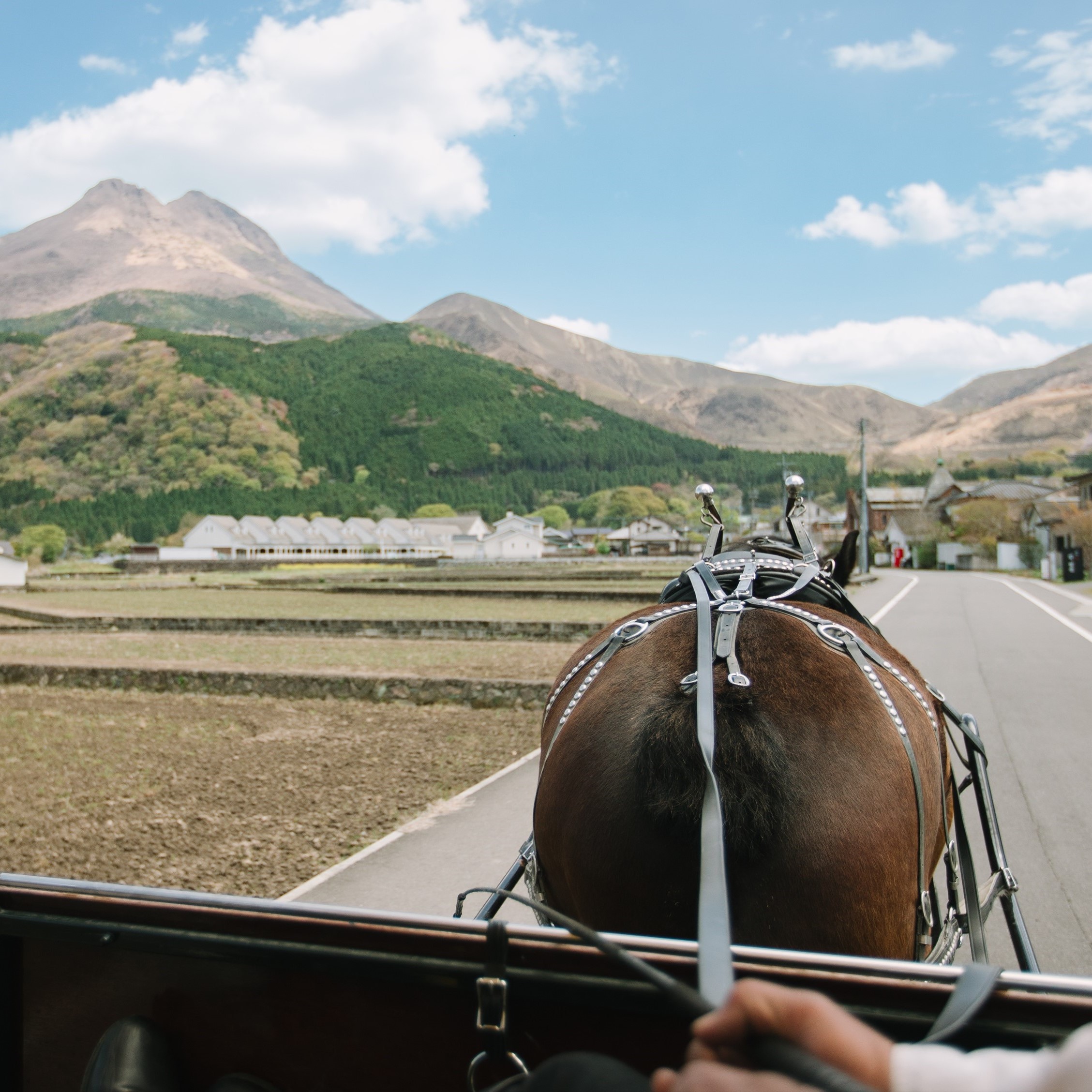 ゆふいん巡り。辻馬車に揺られ、心ほぐれる旅時間