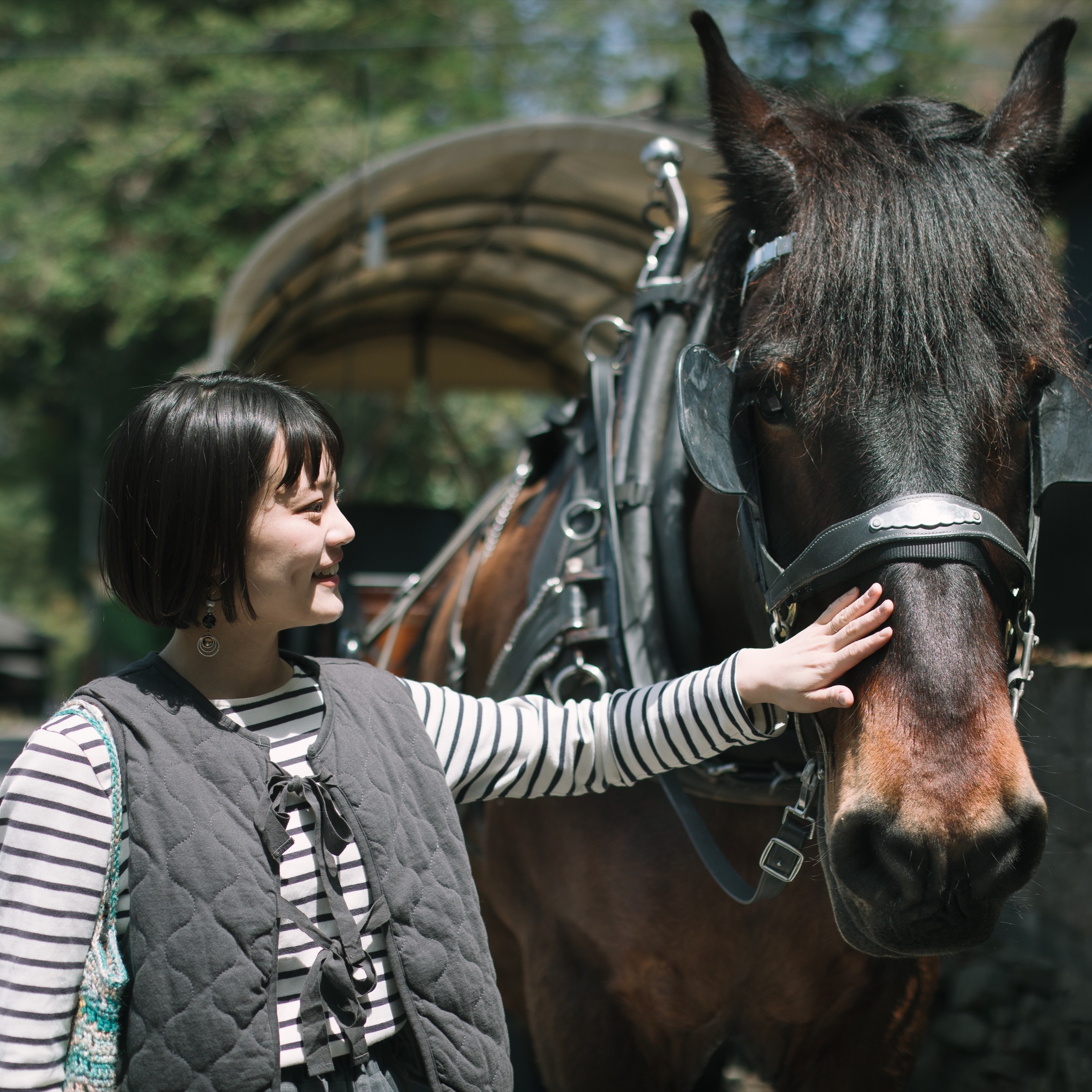 ゆふいん巡り。辻馬車に揺られ、心ほぐれる旅時間