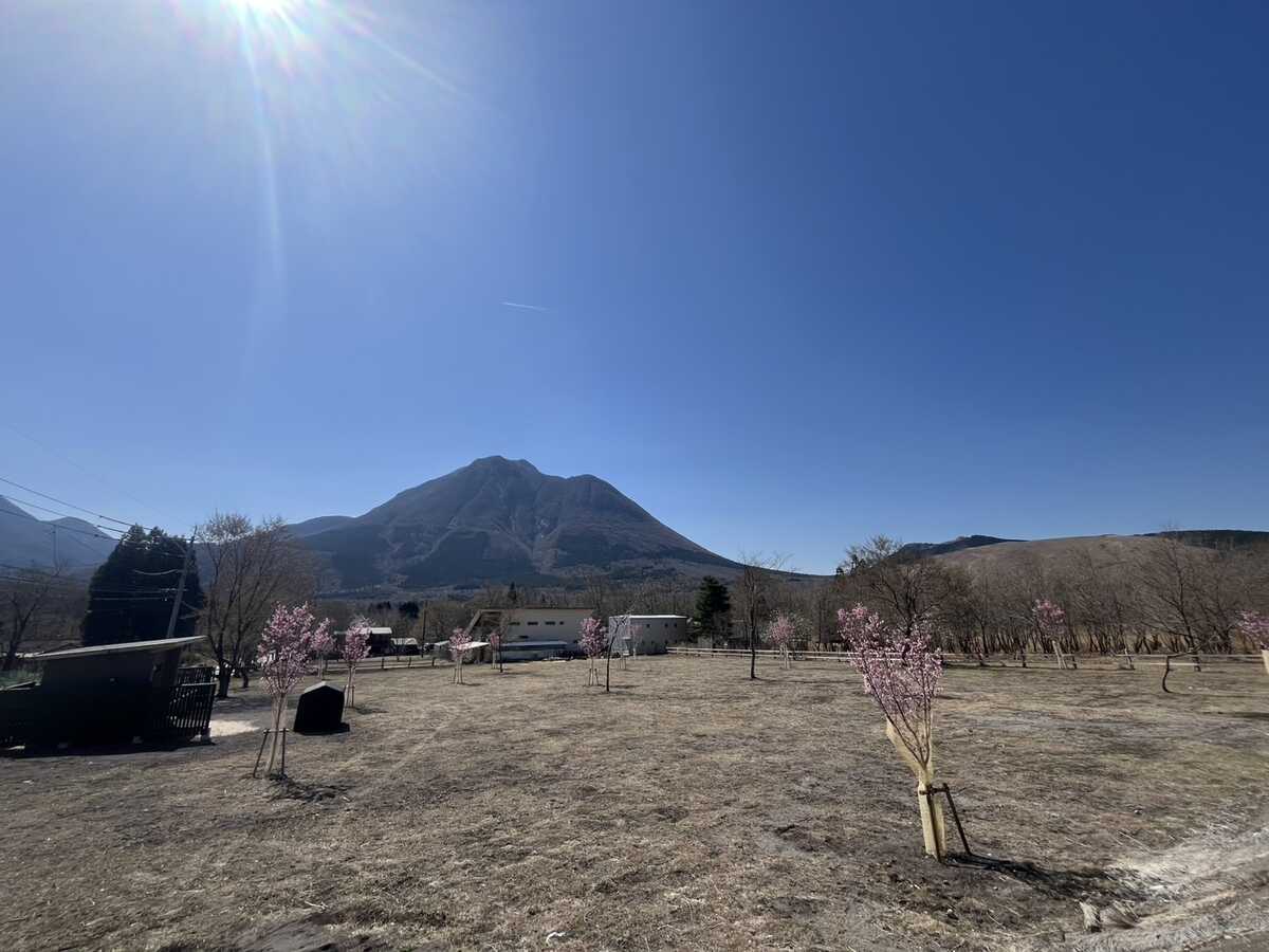湯布院 塚原高原 AUTO VILLAGE(オートヴィレッジ)