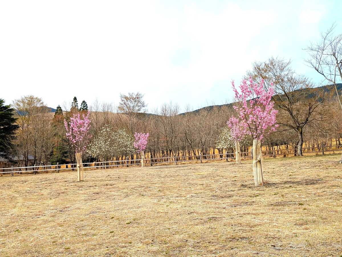 湯布院 塚原高原 AUTO VILLAGE(オートヴィレッジ)
