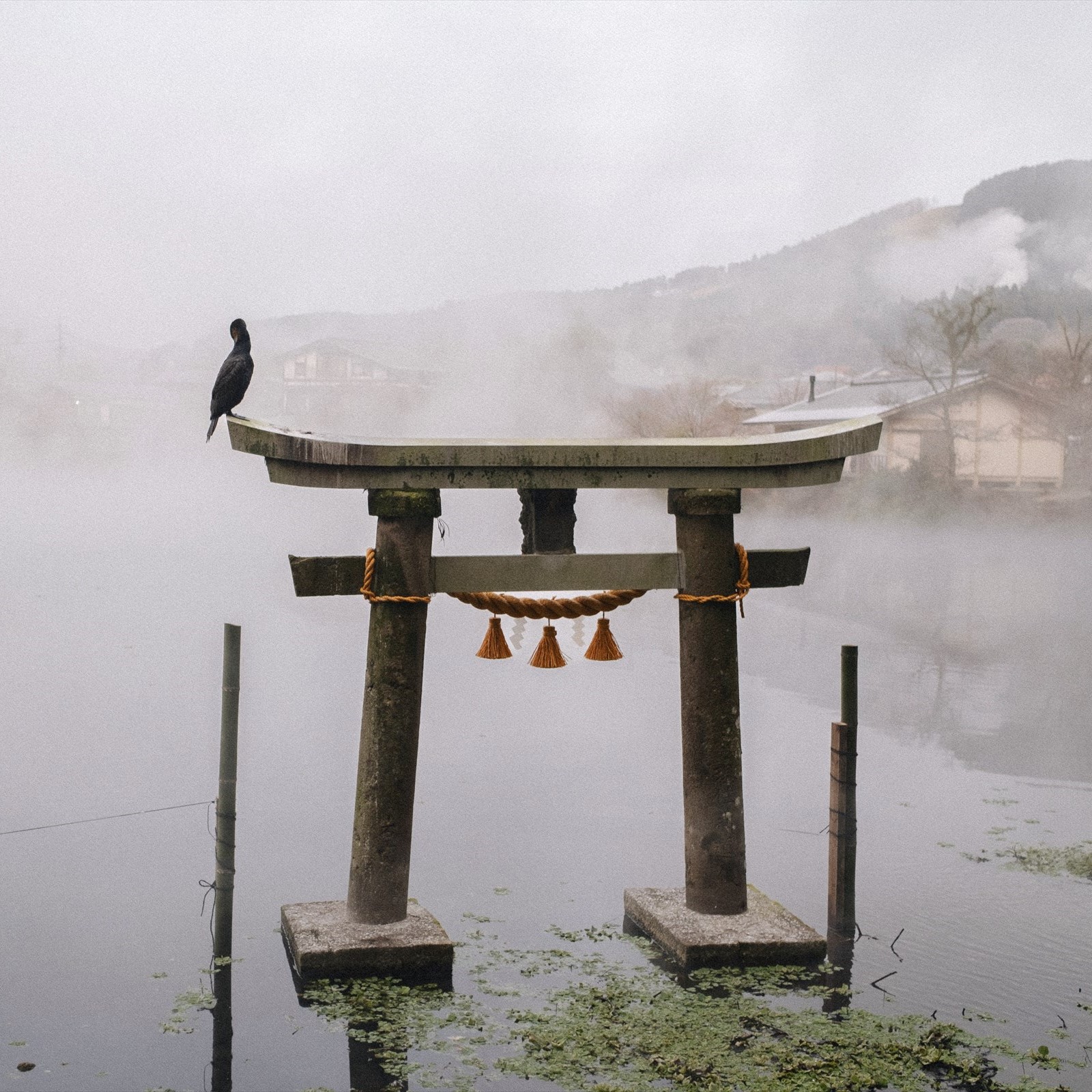まだ見ぬ由布へ 〜Plan.2 「由布院」旅